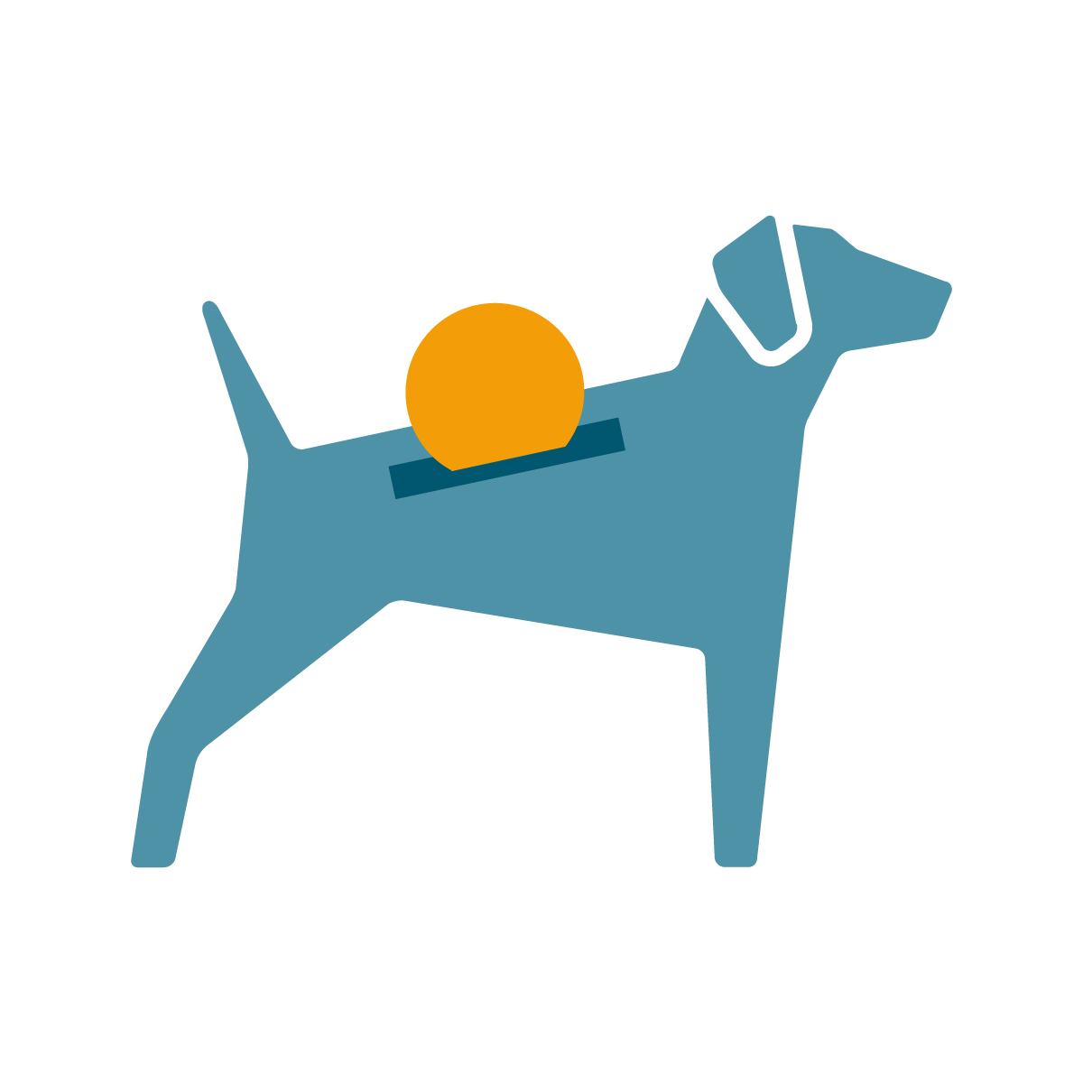 Francesca Papapietro